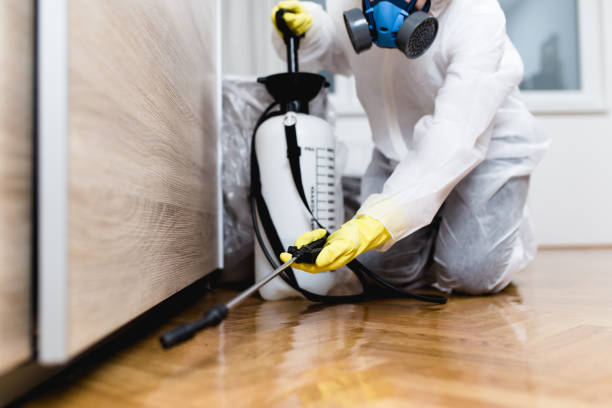 Best Pest Control Near Me  in Bull Run, VA