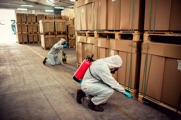 Best Pest Inspection Near Me  in Bull Run, VA