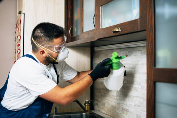 Reliable Bull Run, VA Pest Control Solutions