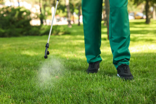 Best Rat Extermination Near Me  in Bull Run, VA