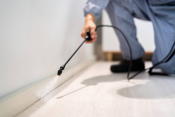 Pest Control for Restaurants in Bull Run, VA