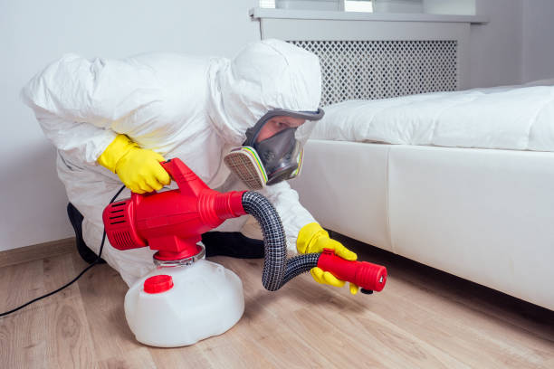 Best Local Pest Control Services  in Bull Run, VA