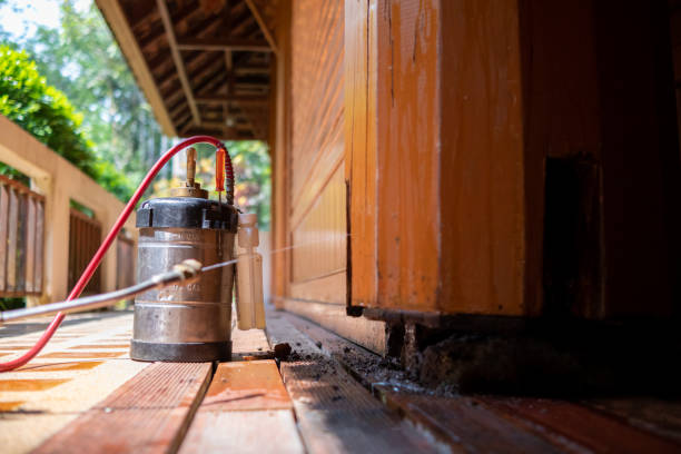 Best Pest Control for Homes  in Bull Run, VA