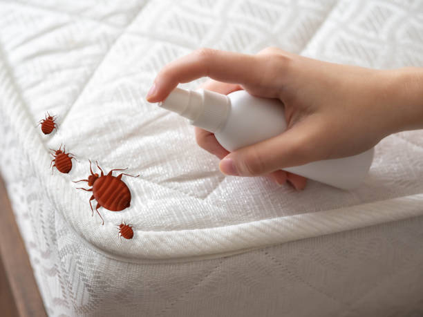  Bull Run, VA Pest Control Pros