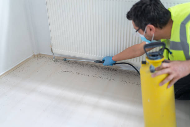 Best Bed Bug Extermination  in Bull Run, VA